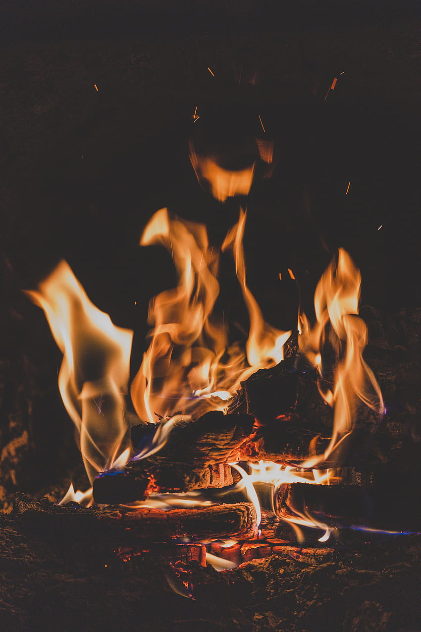 Fire, Bonfire, Dark, Flame, Firewood, Camping, Campsite, Angle, Corner, Ash HD phone wallpaper
