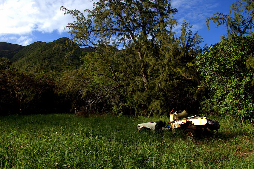 A victim of a Tsunami, island, hawaii, trees, sky, truck HD wallpaper