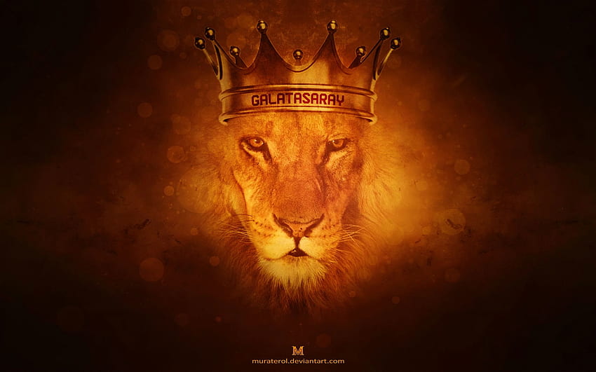Löwe von Juda, Löwe mit Krone HD-Hintergrundbild