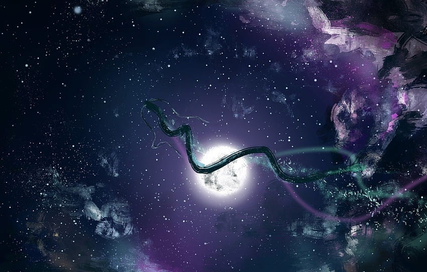 the sky, night, the moon, dragon, Haku, Spirited Away HD wallpaper