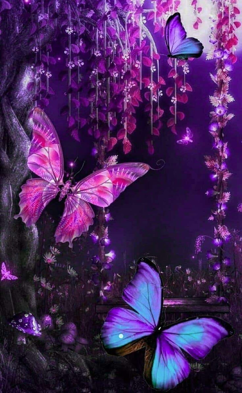 Beautiful butterfly backgrounds HD wallpapers | Pxfuel