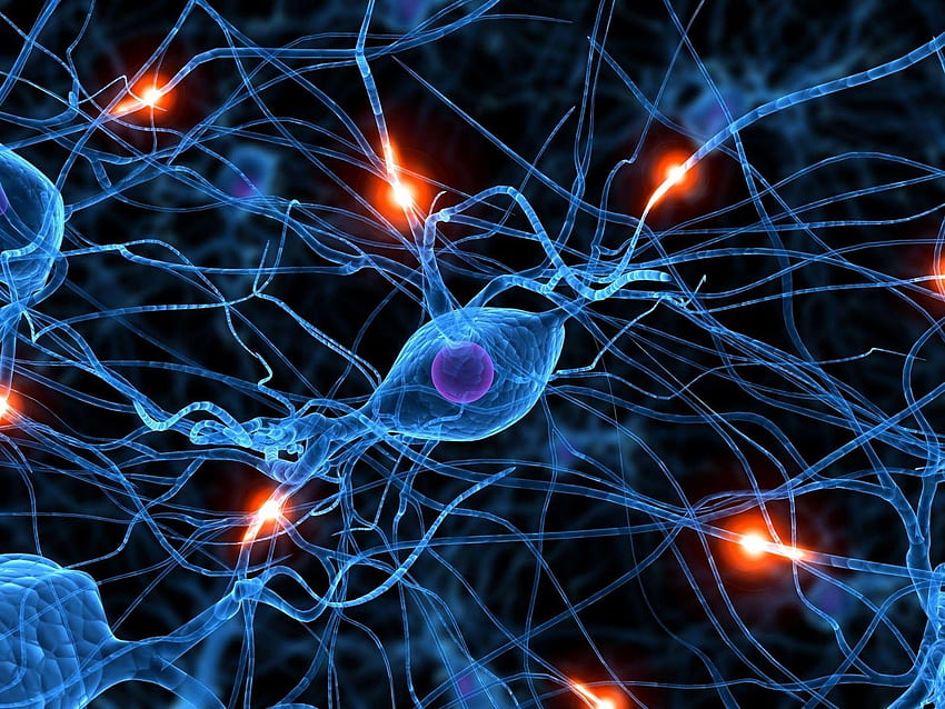 Neurônios, Sinapse papel de parede HD