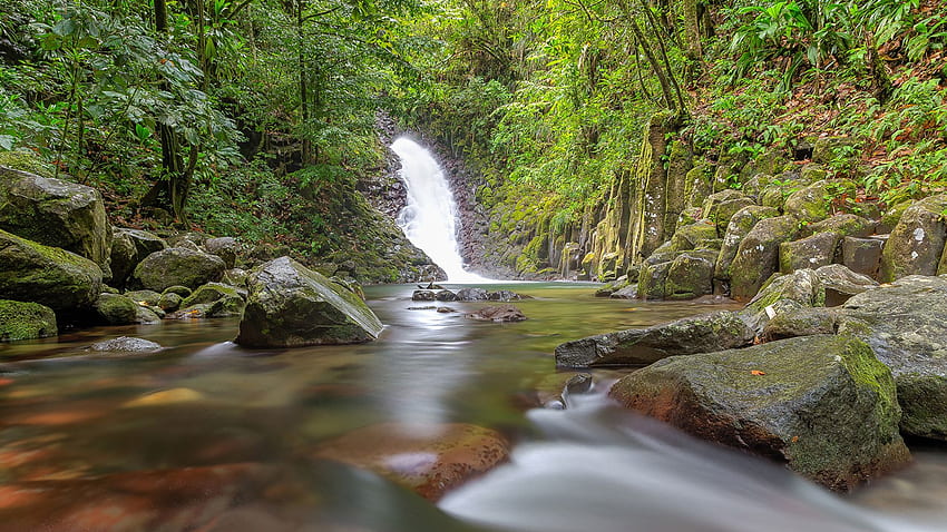 Guadeloupe Cascade Paradis Nature Waterfalls HD wallpaper