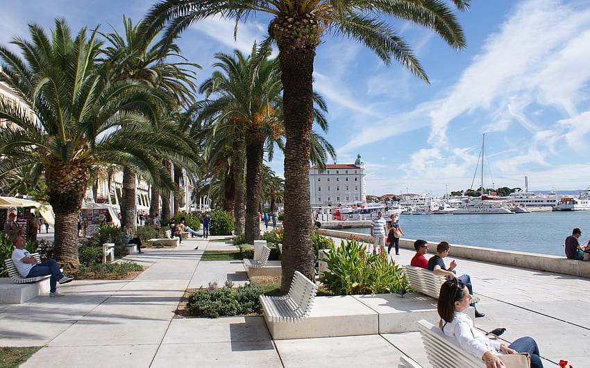 Promenade in Split, Croatia, palms, benches, Croatia, water, Split, promenade HD wallpaper