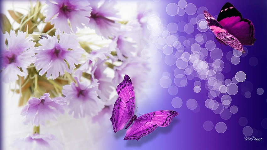 Flores Fantástico, bokeh, primavera, verano, púrpura, mariposas, luz, lavanda, brillo, flores, fragante, cálido, perfume, lila fondo de pantalla