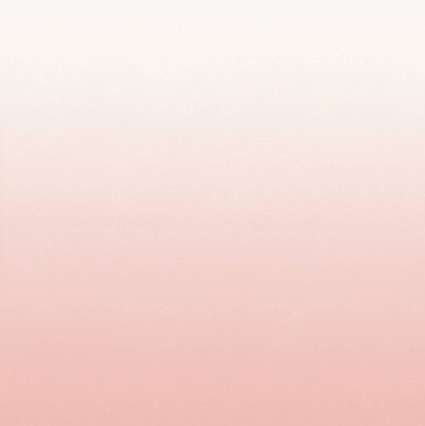 Aurora Petal en degradado de rosa bebé a blanco. Oléan fondo de pantalla del teléfono