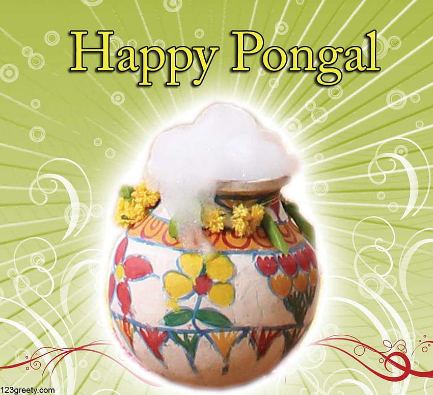 Thai Pongal And Greeting Cards In Bharatmoms - Happy Pongal Trendy HD wallpaper