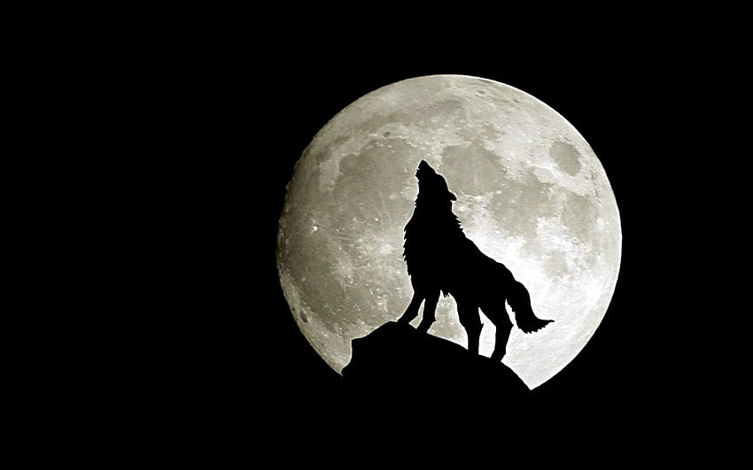 Moon Wolf, Blood Moon Wolf HD wallpaper