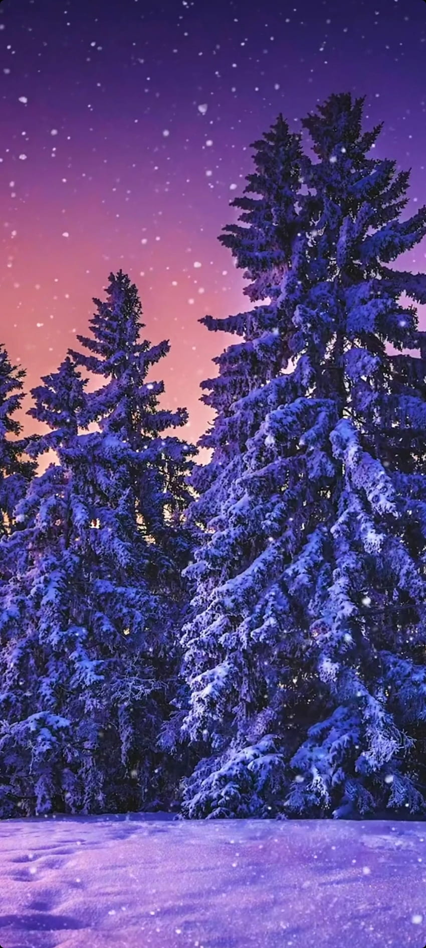 Life, sky, blue, winter HD phone wallpaper | Pxfuel