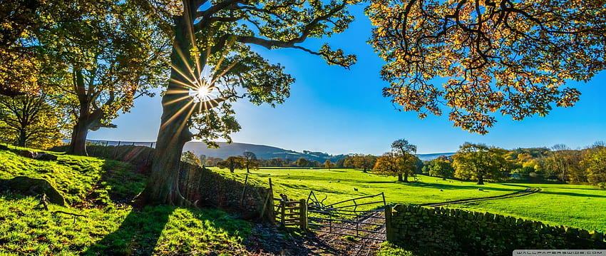 Beautiful England Nature Countryside Scenery Ultra Background for U TV : & UltraWide & Laptop : Tablet : Smartphone, European Countryside HD wallpaper