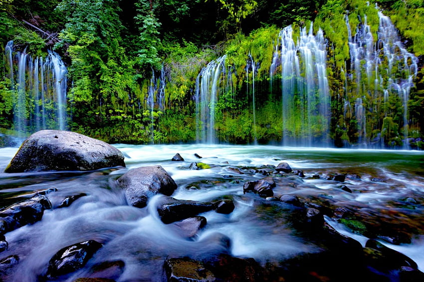 FOREST WATERFALLS, waterfalls, nature, forest, green HD wallpaper