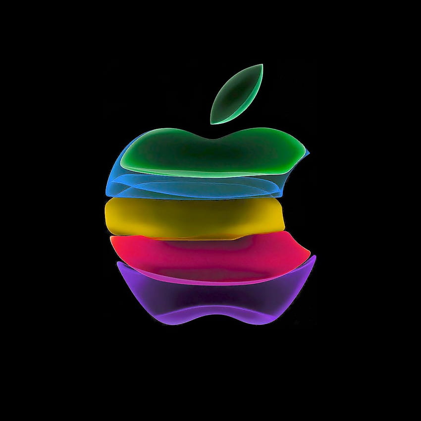 Apple iPhone 11 Stock 10 – [1242×2688] – iphone 11 pro HD phone wallpaper