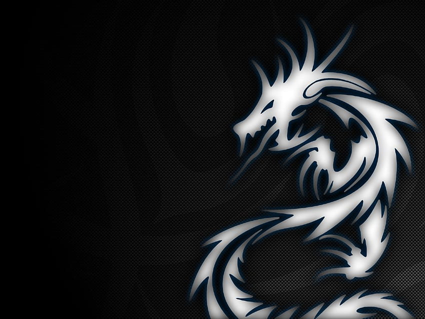 about Dragons Fantasy girl, Red dragon 1132×706 Awesome Dragon Background 44 Wall. Tribal tattoos, Dragon , Background, Awesome Cool Dragon HD wallpaper