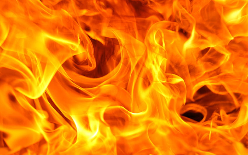 주황색 불꽃, 모닥불, 화재 불꽃, 매크로, 주황색 불 질감, 해상도가 있는 주황색 불 배경. 고품질 HD 월페이퍼