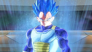 Super Saiyan God Vegeta, Vegeta, Dragon Ball, Super Saiyan Blue, Super  Saiyan HD wallpaper