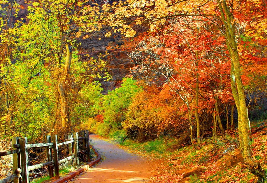Jalan hutan di musim gugur, warna-warni, ketenangan, bagus, pagar, pohon, musim gugur, jalan, tenang, jalan, musim gugur, indah, taman, jatuh, daun, cantik, alam, menyenangkan, hutan, dedaunan Wallpaper HD