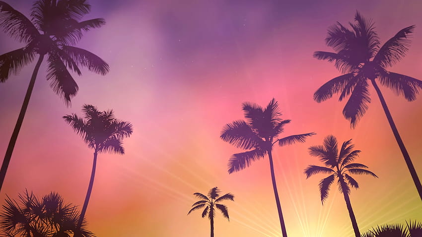 Panoramiczny widok na tropikalny kraj z palmami i zachodem słońca, letnie tło. Eleganckie i luksusowe dynamiczne animacje w stylu lat 80., 90. w stylu retro Motion Background, Retro Palm Tree z lat 80 Tapeta HD