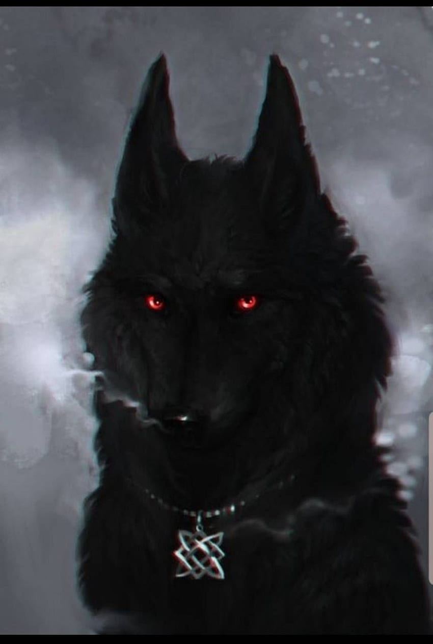 Lobo de ojos rojos, lobo negro de ojos rojos fondo de pantalla del teléfono