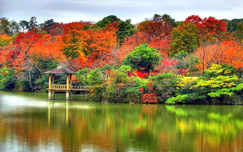 秋の湖の小さなドック、カラフル、グラフィック、夢の中のアトラクション、パノラマビュー、反射、四季を愛する、湖、木、秋、自然、秋の季節 高画質の壁紙