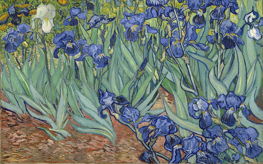 1889, artiste hollandais post impressionniste, toile, iris, huile pour avec résolution . Ordinateur impressionniste de haute qualité Fond d'écran HD