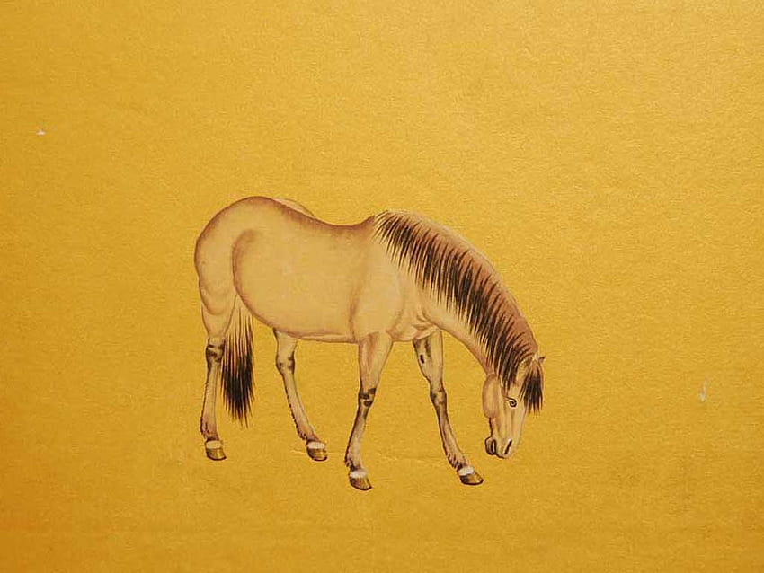 caballo, animal, dibujo, amarillo fondo de pantalla