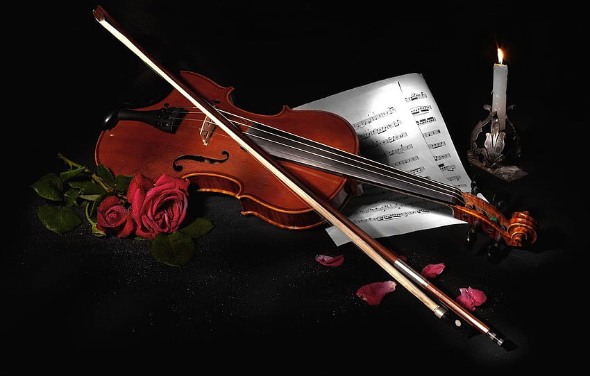 fiori, stile, note, musica, violino, rose, nero Sfondo HD