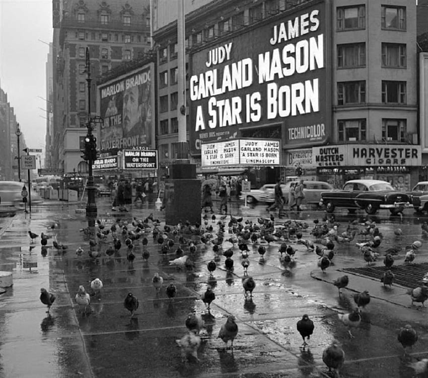 Vintage of everyday life in New York, 1950s - Rare Historical, Rainy Day New York HD wallpaper