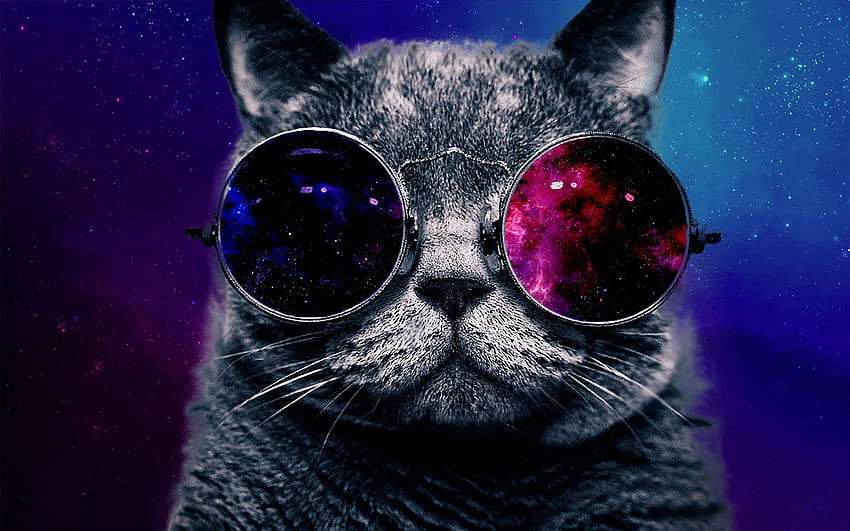 Chat avec des lunettes, Cool Galaxy Cat Fond d'écran HD