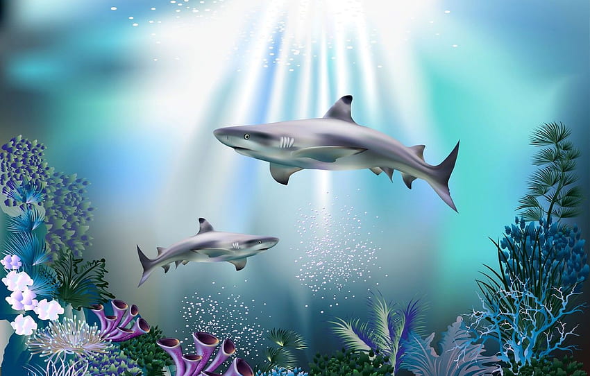 laut, gelembung, biru, karang, hiu, dunia bawah laut, bawah air, sinar cahaya, 3D untuk , bagian рендеринг Wallpaper HD