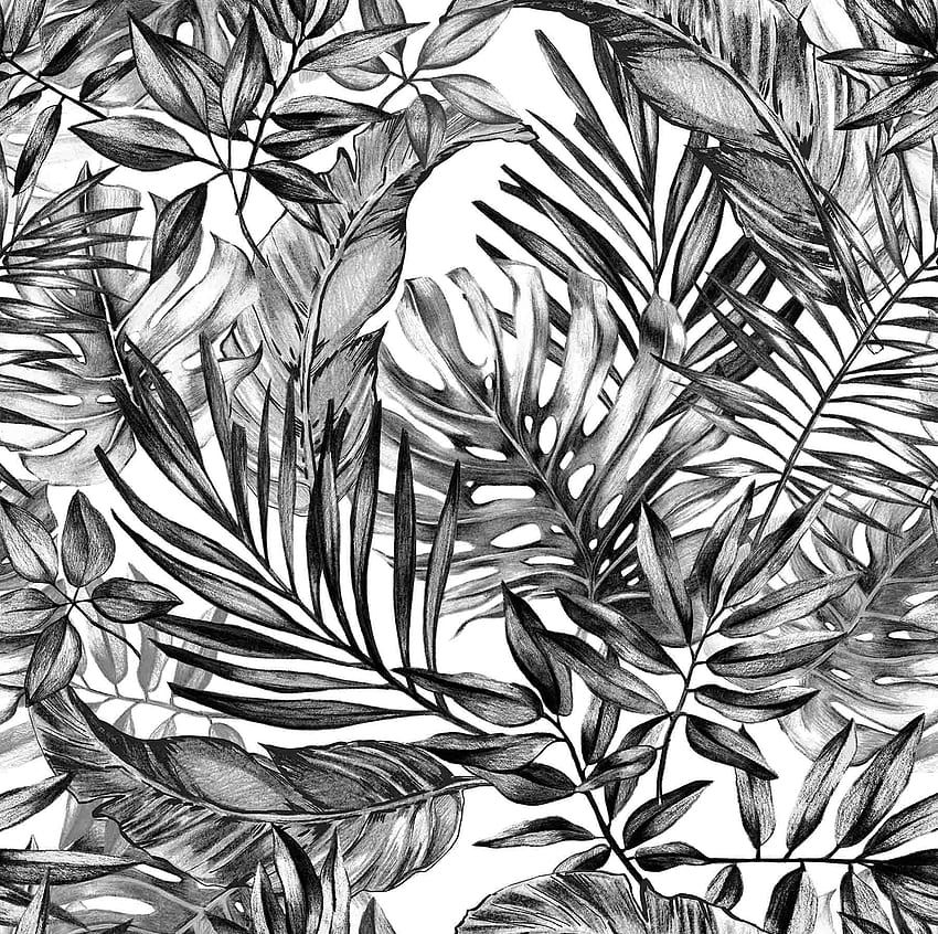 Papier Peint Plantes Tropicales en Noir et Blanc, Fleur Tropicale Noir et Blanc Fond d'écran HD