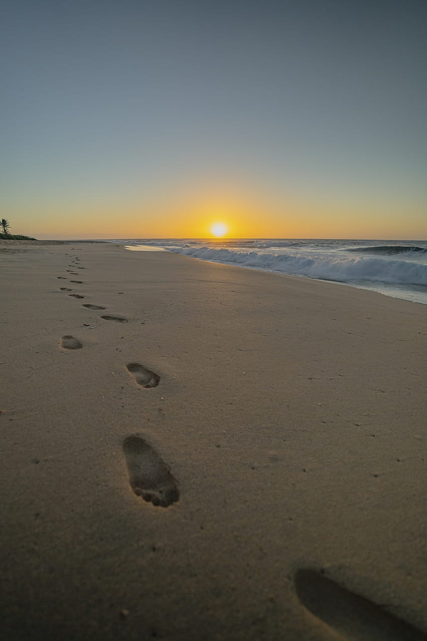 HD footsteps in the sand wallpapers | Peakpx