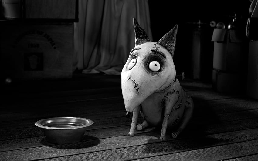 Tim Burton's movie dog with stainless steel bowl . Flare HD wallpaper