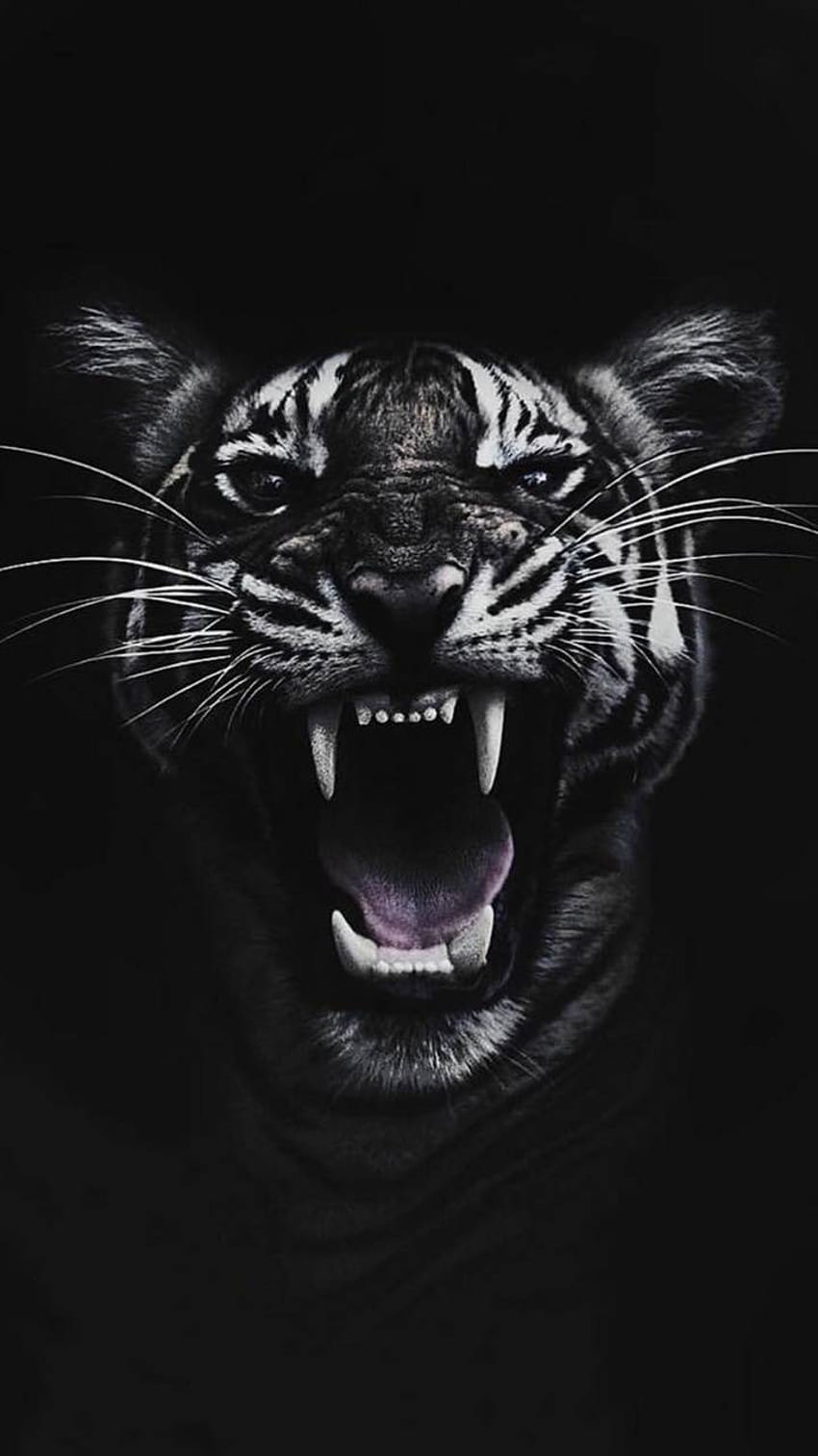 Тигър, агресивен тигър HD тапет за телефон