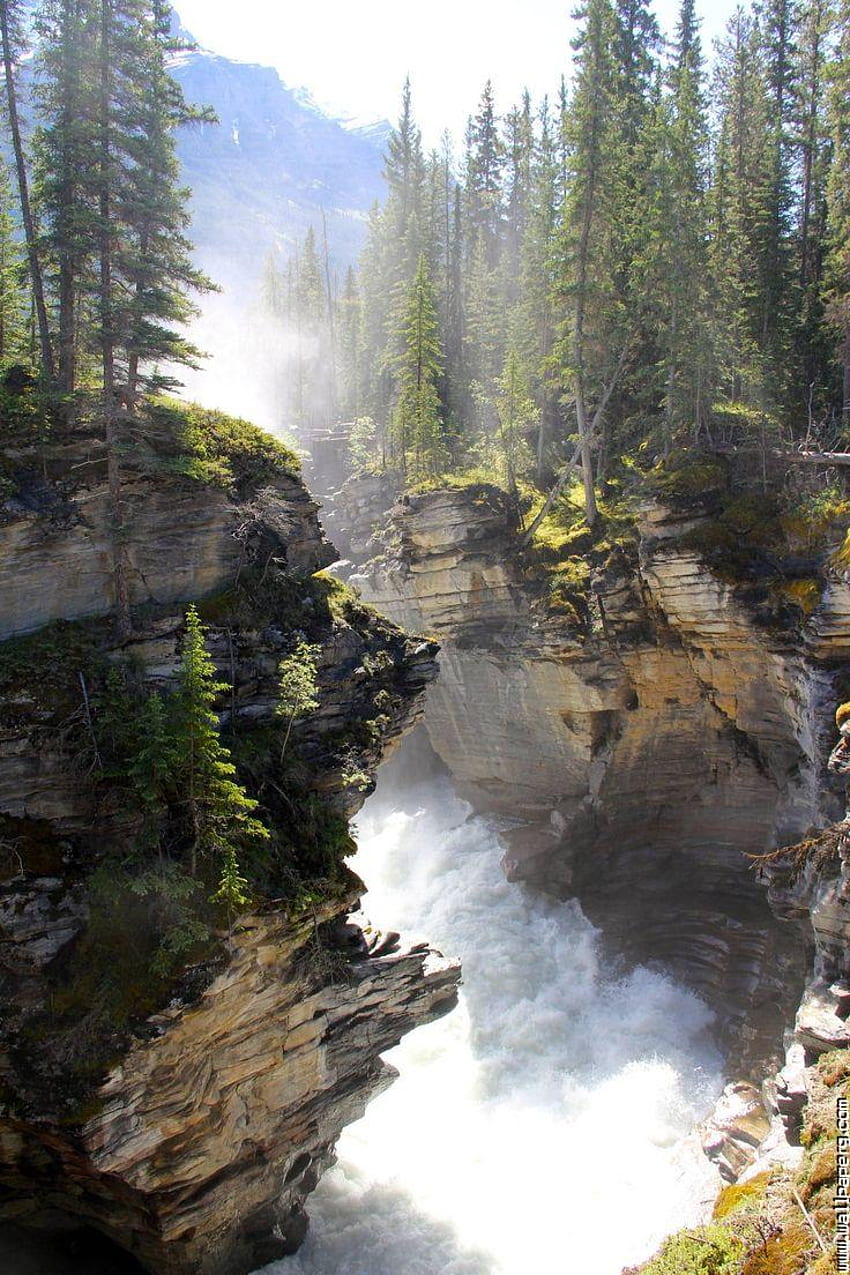 Jasper National Park, jasper national park, canada, forest, river, earth,  waterfall, HD phone wallpaper | Peakpx