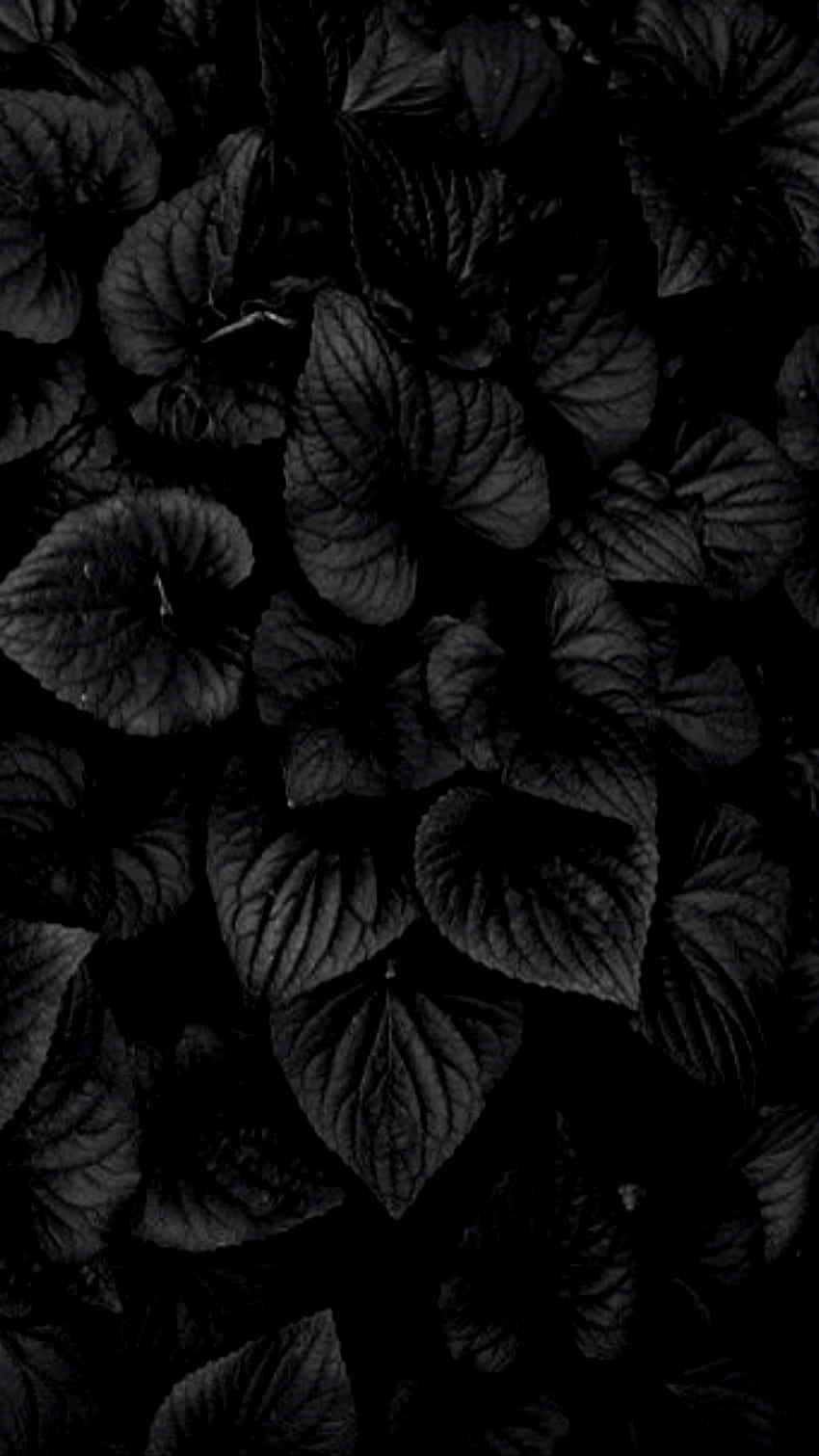 Dark, Best Dark HD phone wallpaper | Pxfuel
