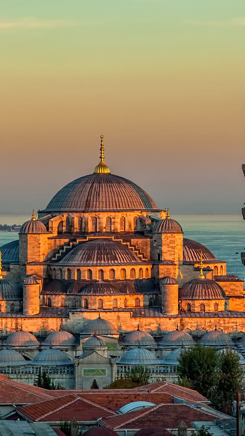 Sultan Ahmed Mosque, Turkey, Istanbul, sunrise,, Blue Mosque HD phone wallpaper