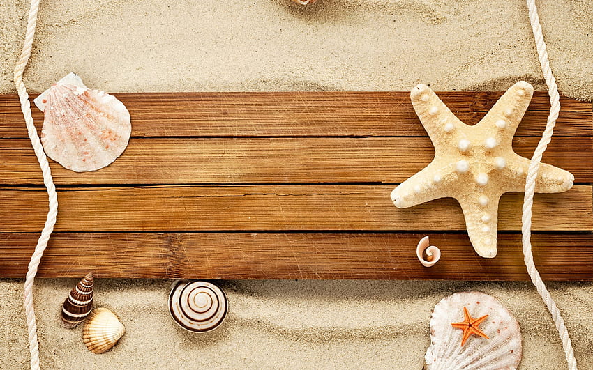 *** Shells on the wood ***, shells, nature, sand, wood HD wallpaper