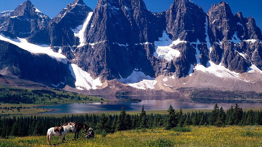 Cowboy and horse in mountainous country, Horse, Grass, Trees, Cowboy, Lake, Mountains HD wallpaper