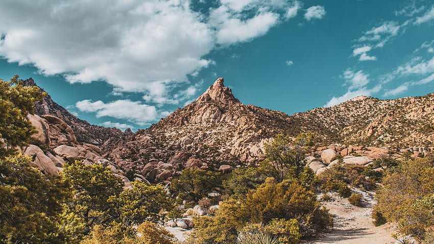 Mountains in the Mojave Desert, california, clouds, landscape, sky, usa HD wallpaper