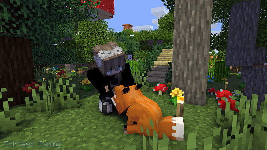 I made a for my girlfriend. She loves foxes. That's her in game skin.: Minecraft HD wallpaper