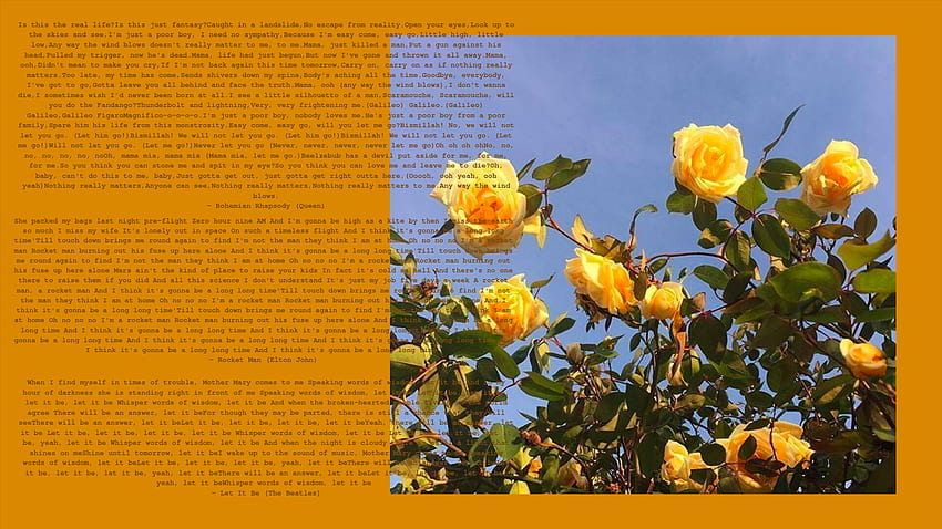 Grunge Yellow Aesthetic Mac . Mac , Aesthetic , Aesthetic iphone, Yellow Rose Aesthetic HD wallpaper
