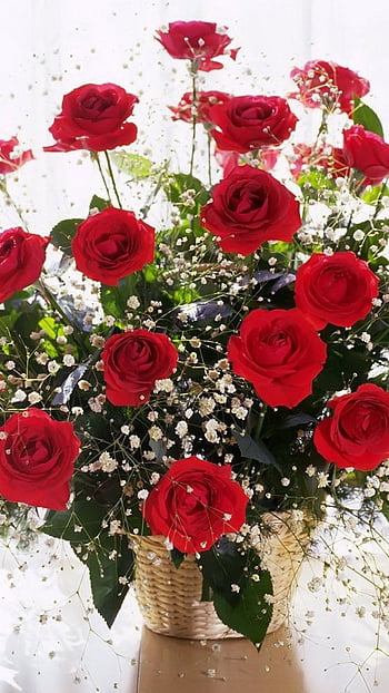 Beautiful Flowers Roses, Red Flower, Bunch Hd Phone Wallpaper | Pxfuel