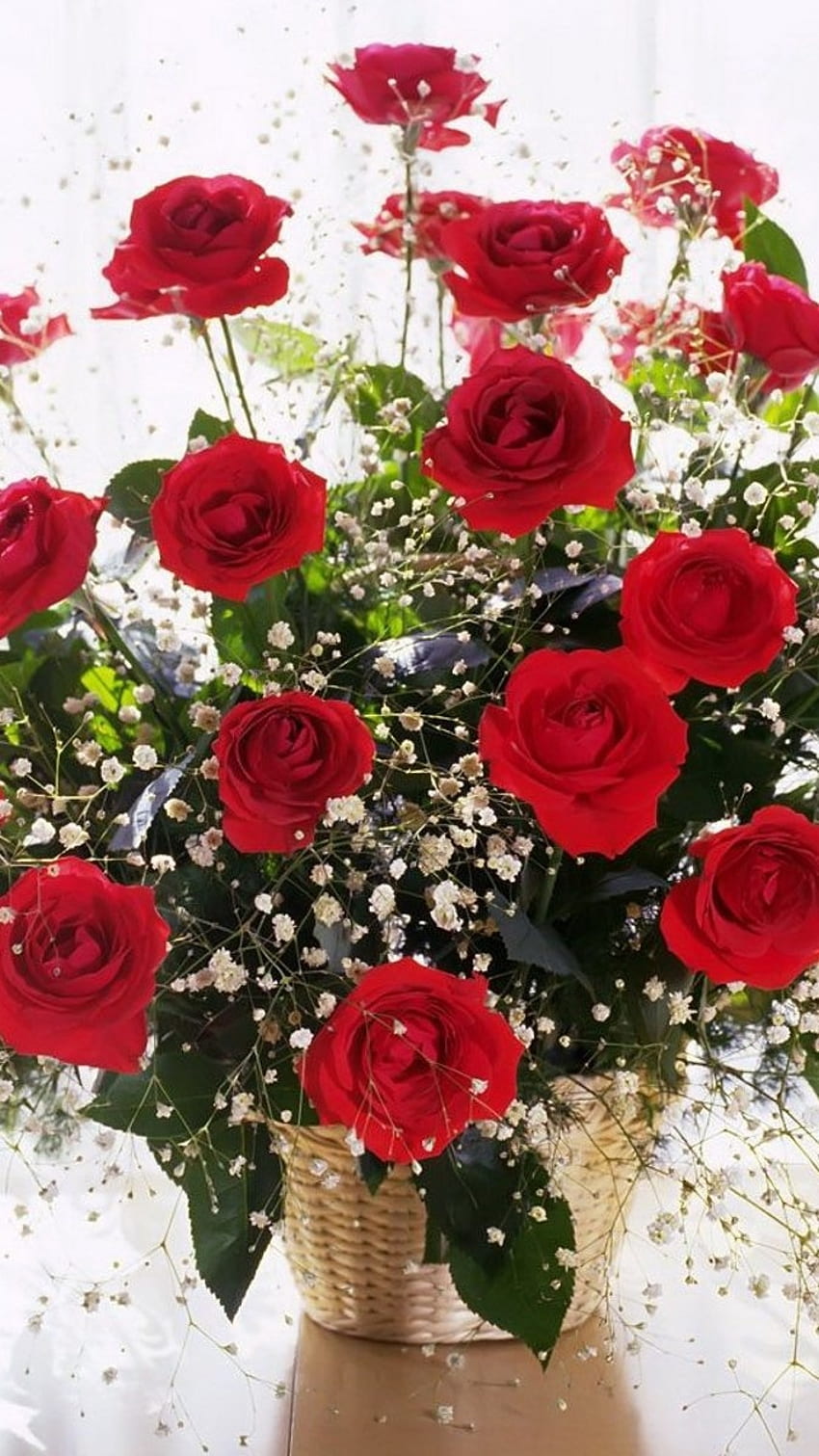 Hermosas Flores Rosas, Flor Roja, Manojo fondo de pantalla del teléfono