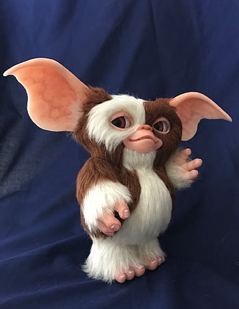 Free download Gizmo Wallpaper Gizmo by psycojimi 1024x1024 for your  Desktop Mobile  Tablet  Explore 73 Gizmo Wallpaper  Gizmo Gremlins  Wallpaper Gremlins Gizmo Wallpaper