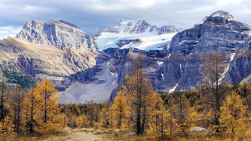 Banff National Park, Alberta, path, snow, fall, landscape, trees, colors, canada, rocks, stones HD wallpaper