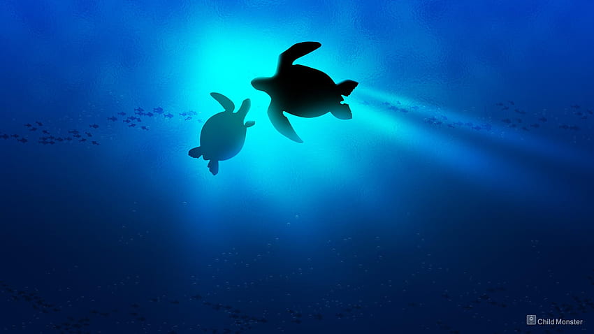 Baby Sea Turtle , Swimming Turtle HD wallpaper