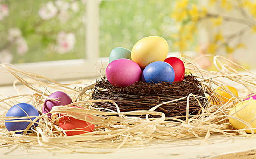 Easter Eggs, decorated, Easter, eggs, nest HD wallpaper