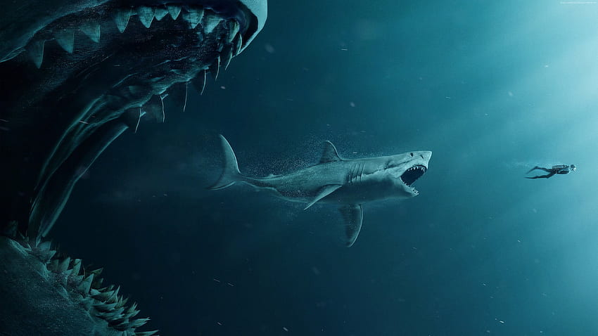 The Meg, shark, diver, , Movies, Megalodon HD wallpaper