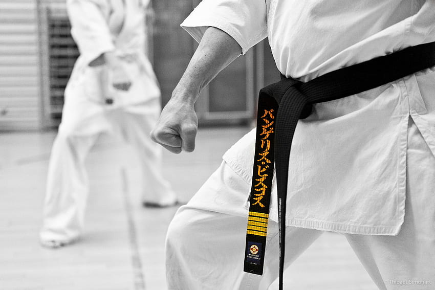 czarno-białe karate. Karate Kyokushin, Karate shotokan, Treino de artes marciais, Okinawa Karate Tapeta HD