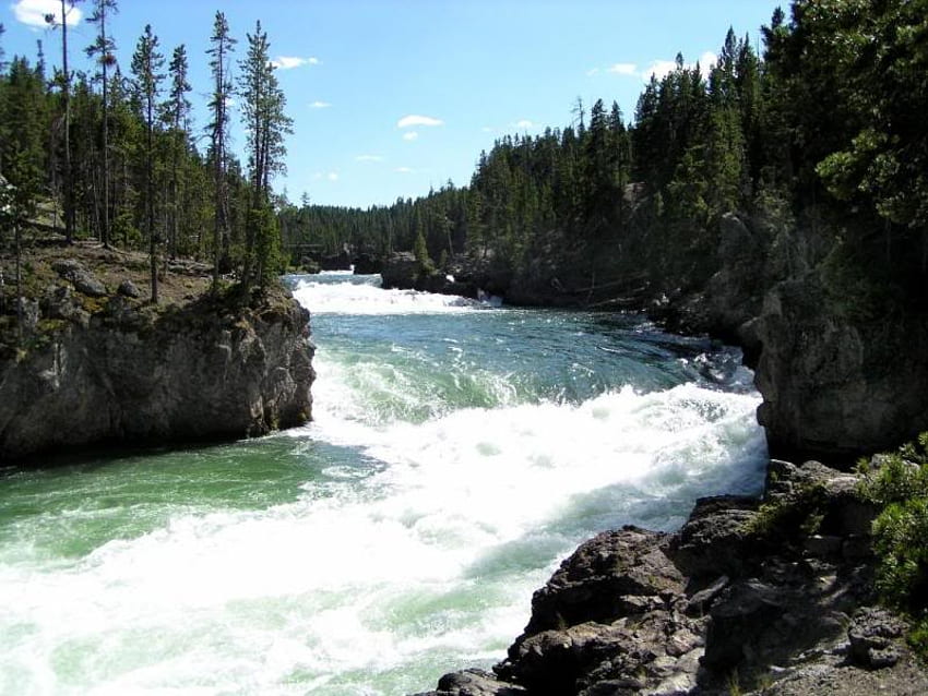 Yellowstone Upper Falls na Brink of the Falls Overlook, spadki, drzewa, woda, skały Tapeta HD